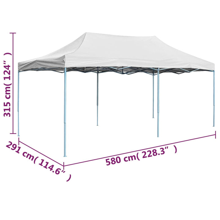 Cort De Petrecere Pliabil Profesional, Alb, 3 X 6 M, Oțel
