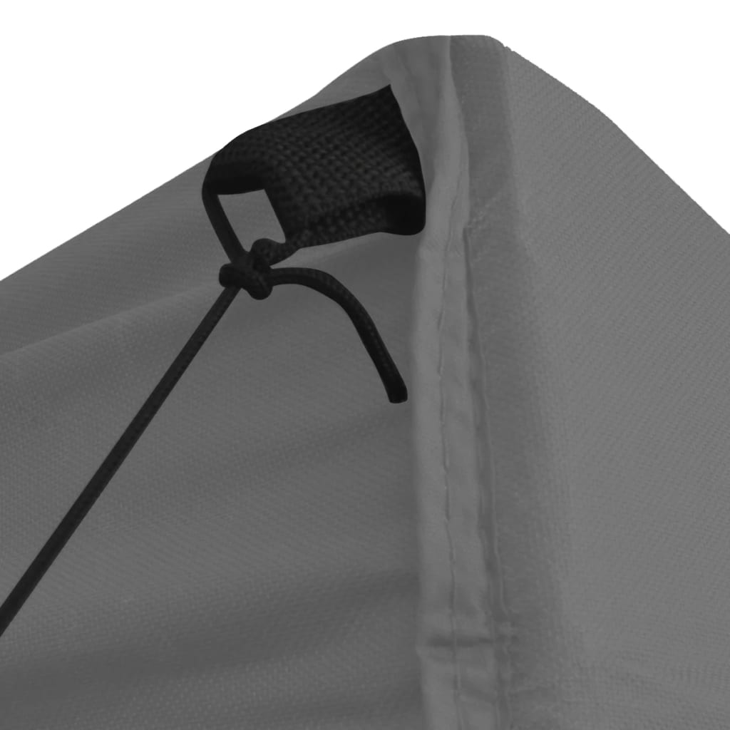 Cort De Petrecere Pliabil Cu 4 Pereți, , 2 X 2 M, Oțel