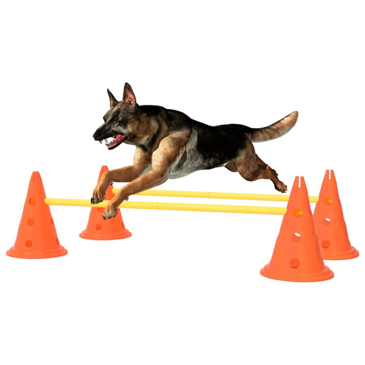 Set De Obstacole Pentru Activități Câini,