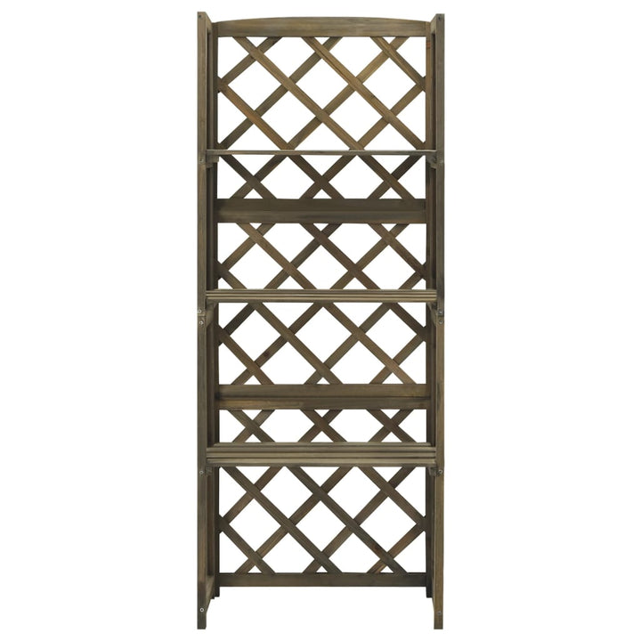 Spalier Cu Rafturi, , 55X30X140 Cm, Lemn Masiv Brad