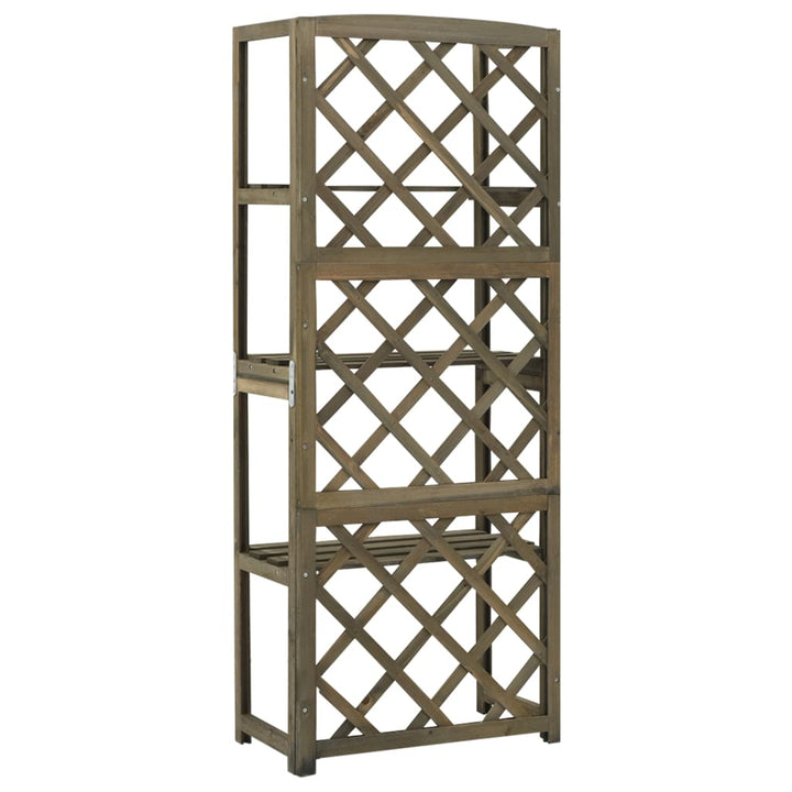 Spalier Cu Rafturi, , 55X30X140 Cm, Lemn Masiv Brad