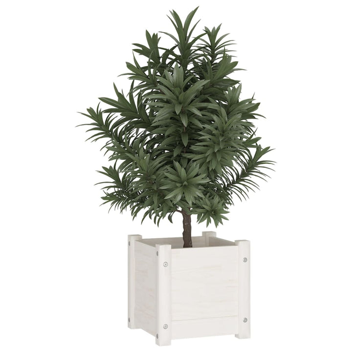 Jardiniere De Grădină, 2 Buc., , 31X31X31 Cm, Lemn Masiv Pin