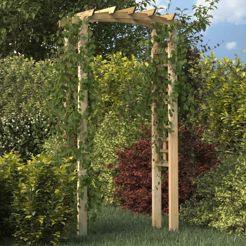 Arcadă Cu Spalier, 110X60X210 Cm, Lemn Masiv De Pin Tratat