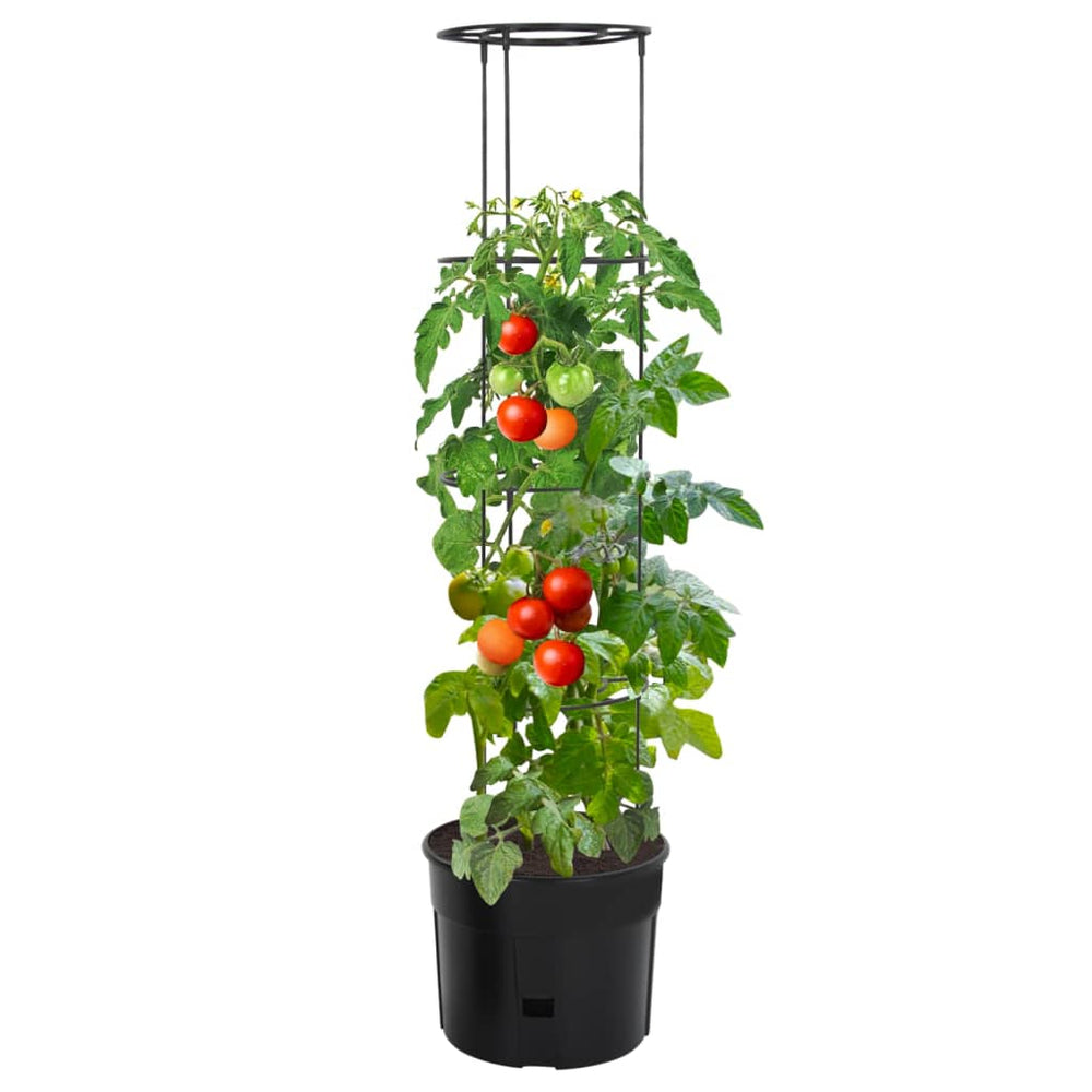 Ghiveci Cultivare Roșii, Antracit, , Polipropilenă