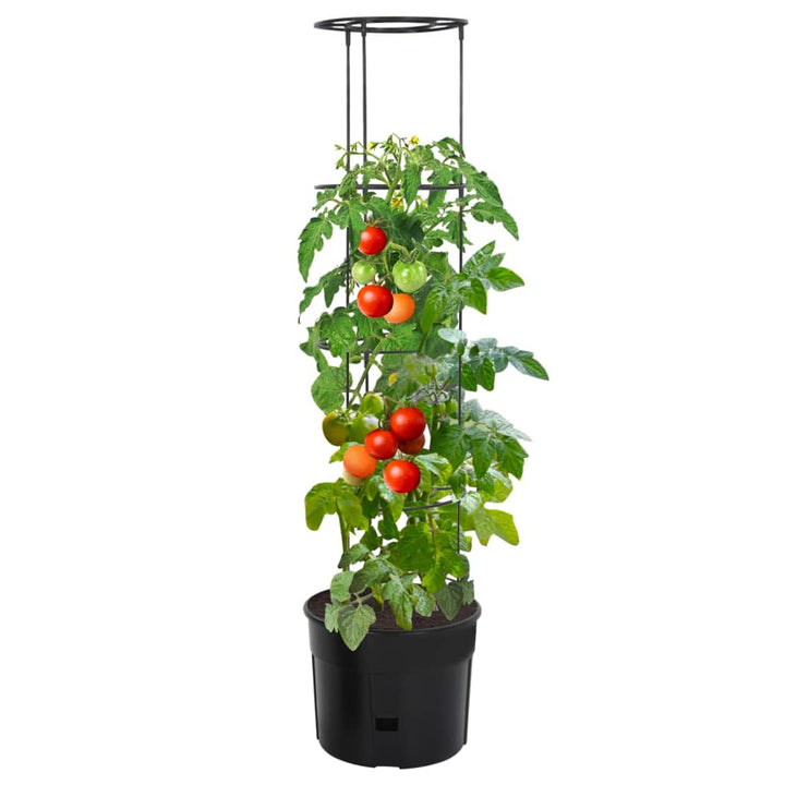 Ghiveci Cultivare Roșii, Antracit, , Polipropilenă