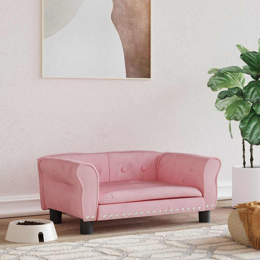 Pat De Câini, , ,