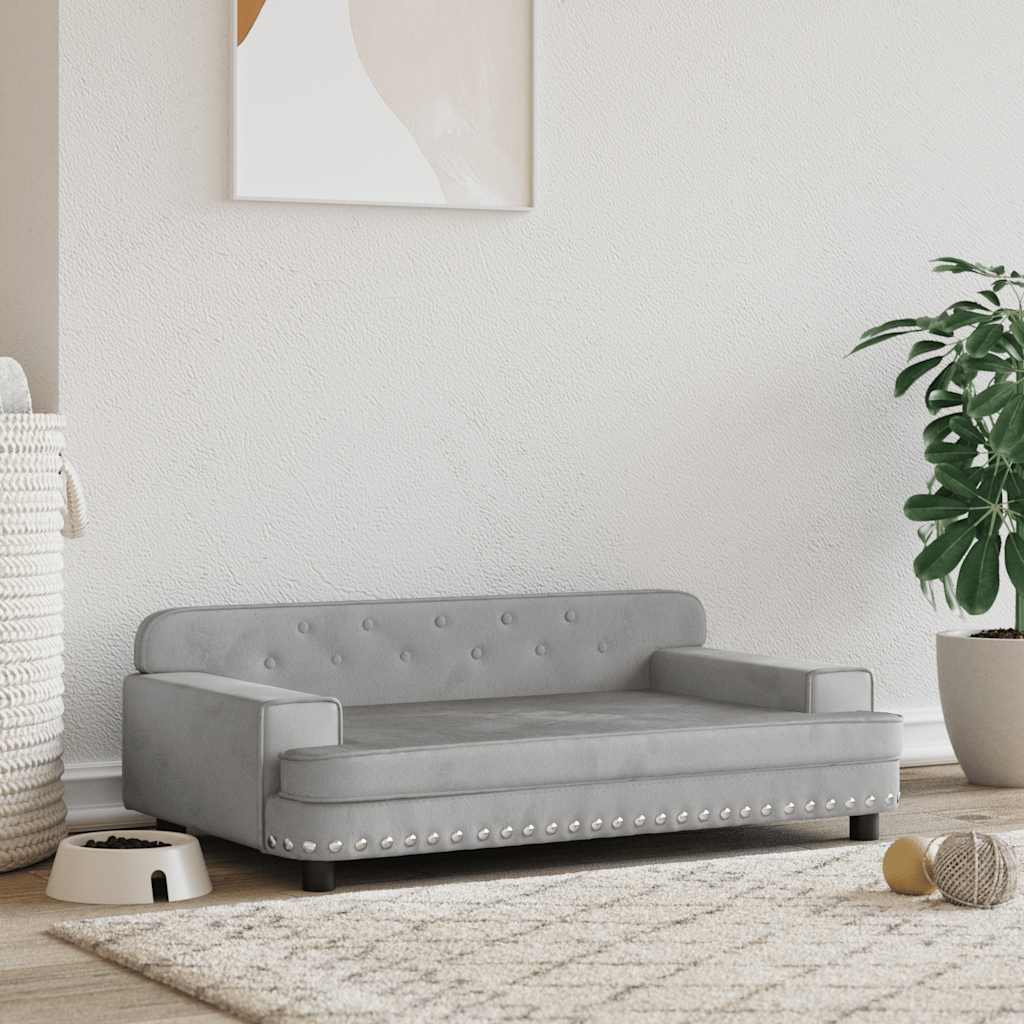 Pat De Câini, , , Piele Ecologică