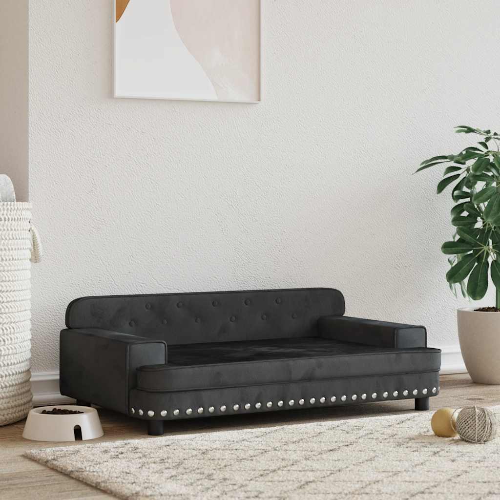 Pat De Câini, , , Piele Ecologică
