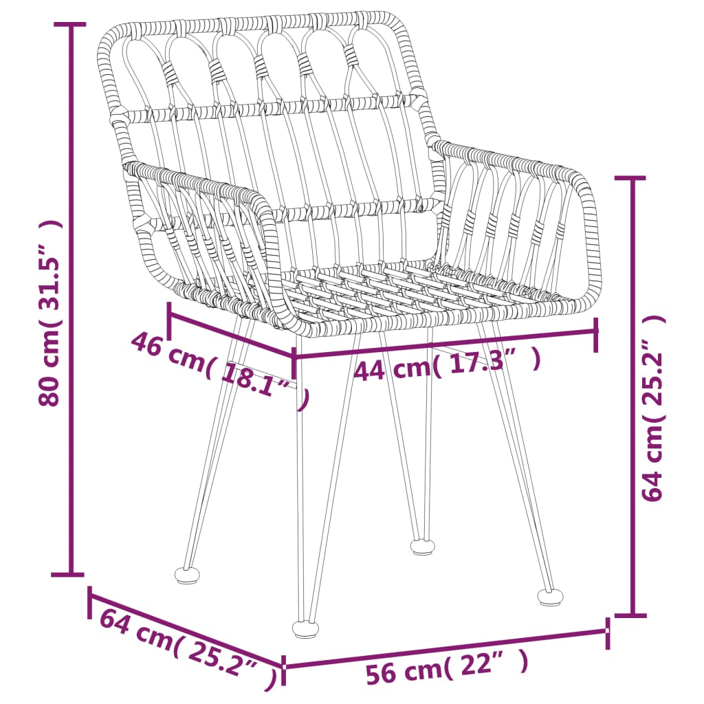 Scaune De Grădină Cu Cotiere 2 Buc. 56X64X80 Cm Ratan Pe