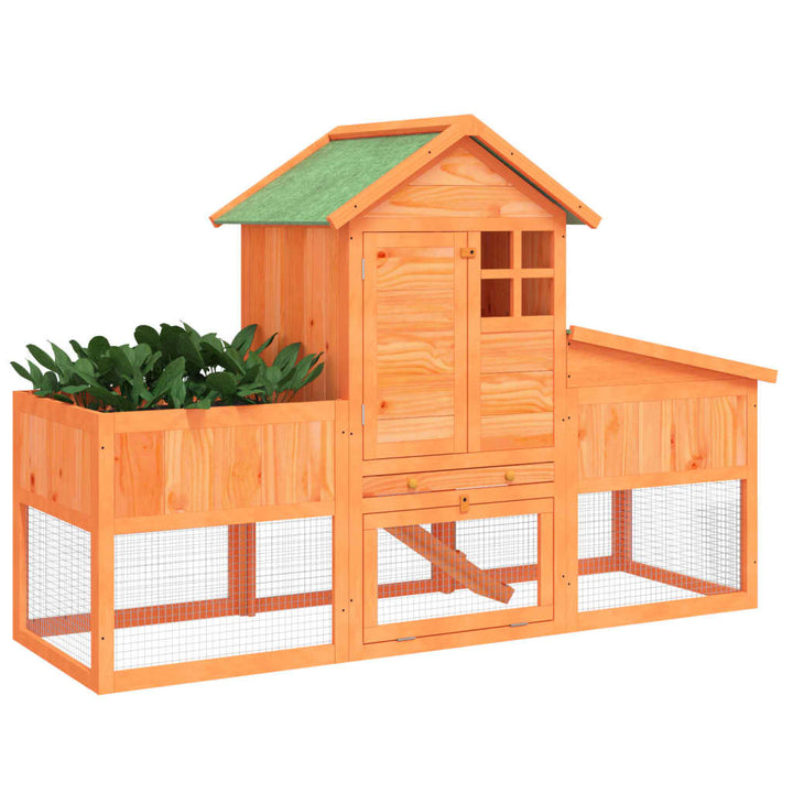 Cușcă Pentru Iepuri 170X63X113 Cm Lemn Masiv De Pin