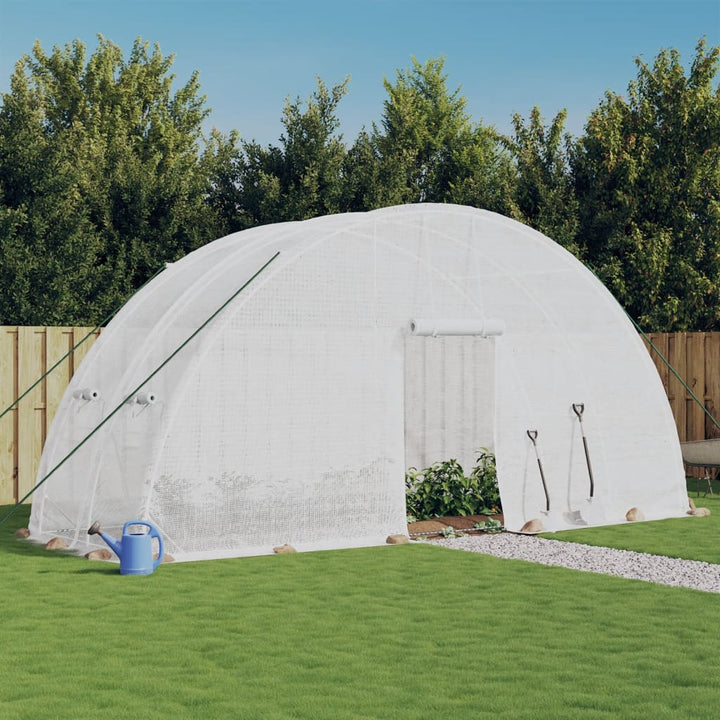 Seră Cu Cadru Din Oțel, , 24 M², 6X4X2,85 M
