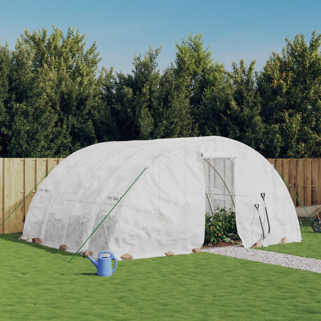 Seră Cu Cadru Din Oțel, , 40 M², 8X5X2,3 M