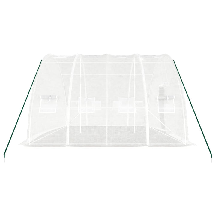 Seră Cu Cadru Din Oțel, , 24 M², 6X4X2,85 M