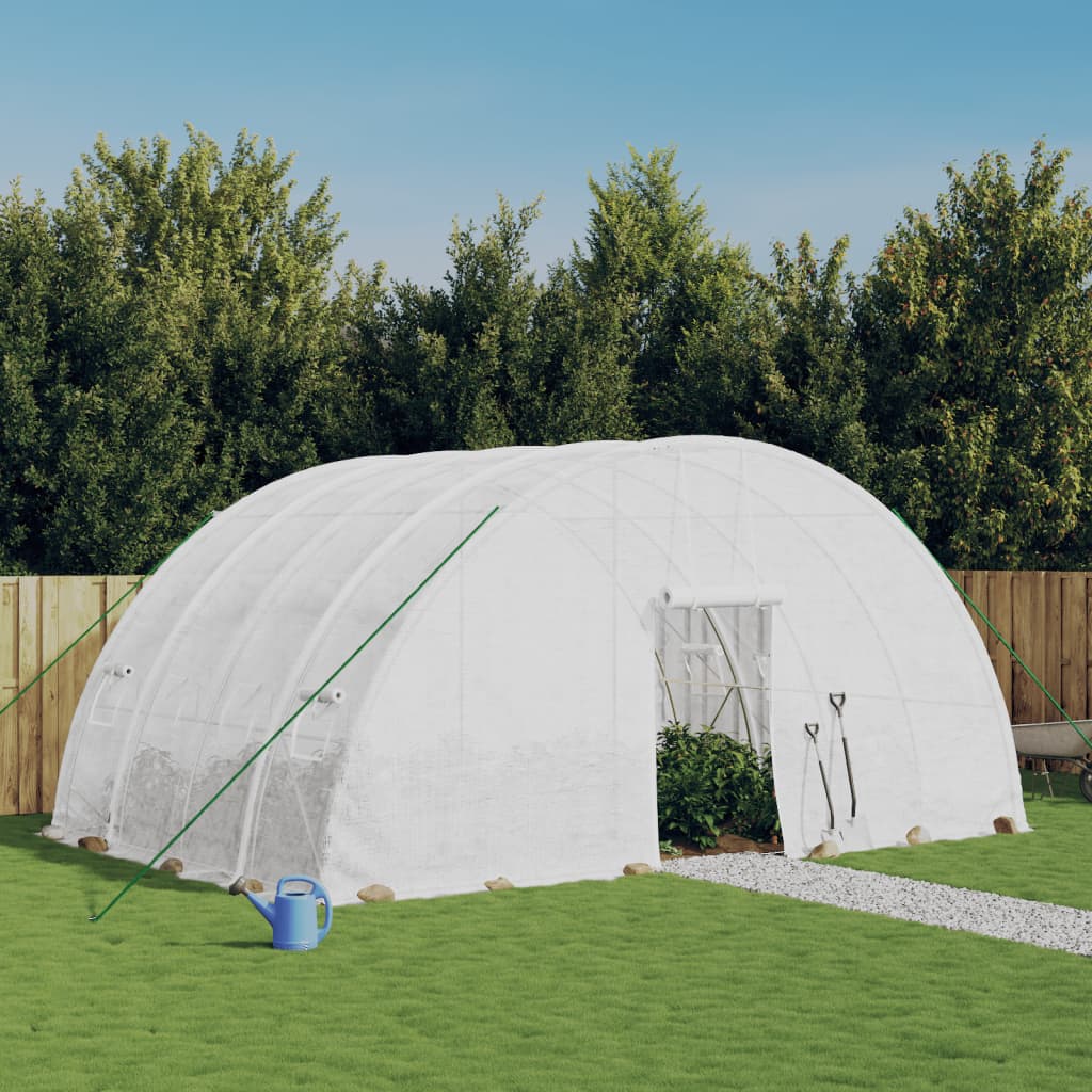 Seră Cu Cadru Din Oțel, , 24 M², 6X4X2,85 M