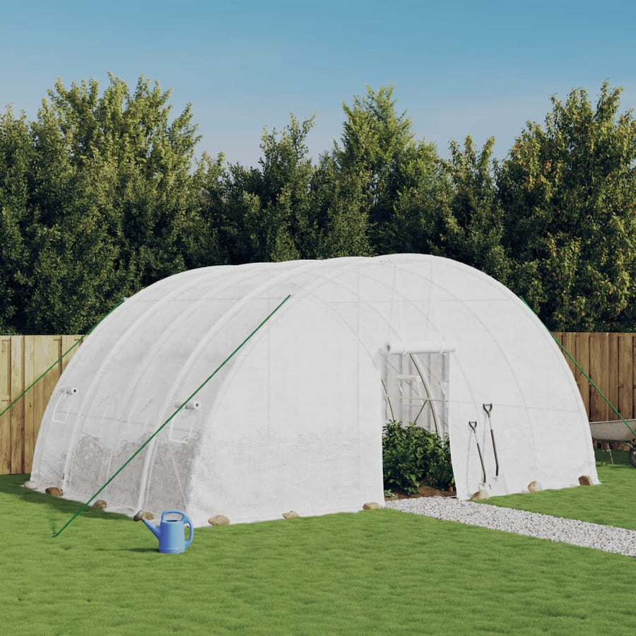 Seră Cu Cadru Din Oțel, , 24 M², 6X4X2,85 M