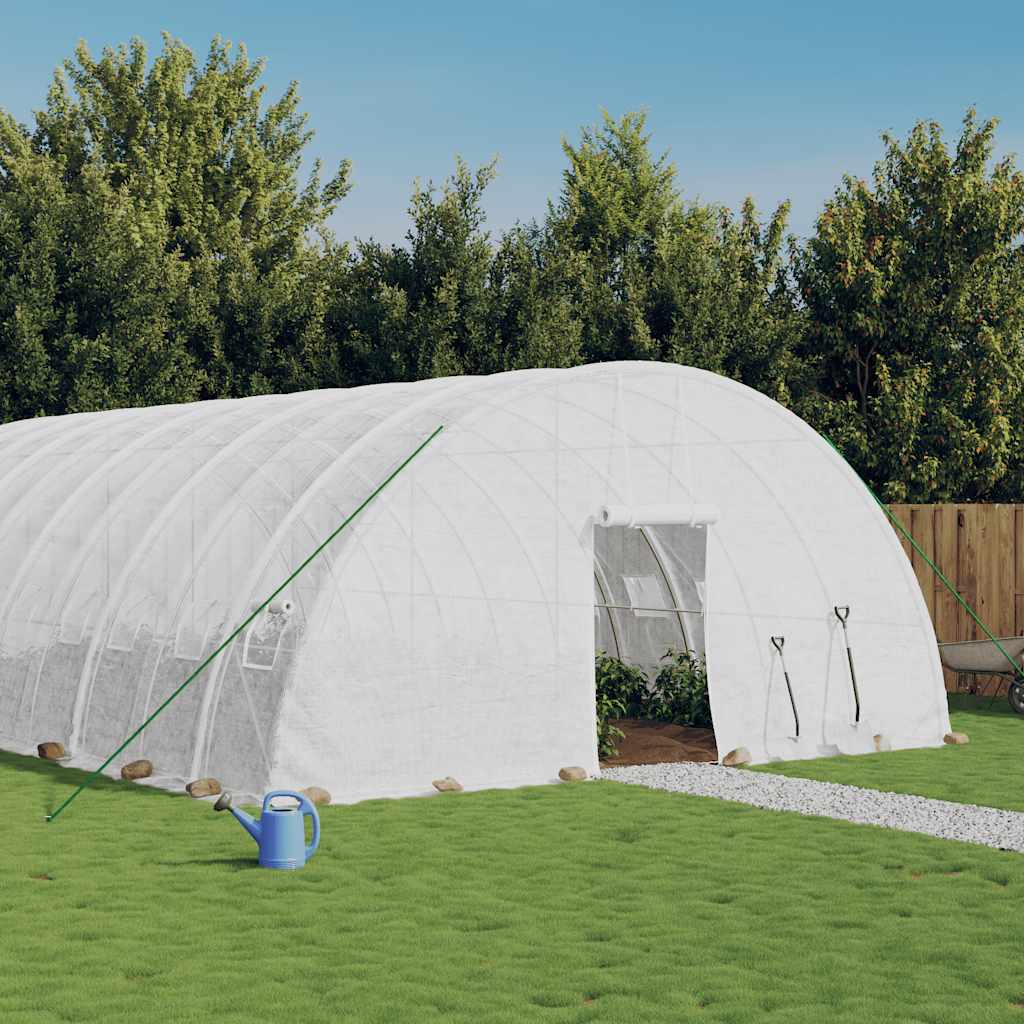 Seră Cu Cadru Din Oțel, , 24 M², 6X4X2,85 M