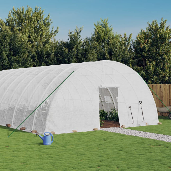 Seră Cu Cadru Din Oțel, , 24 M², 6X4X2,85 M
