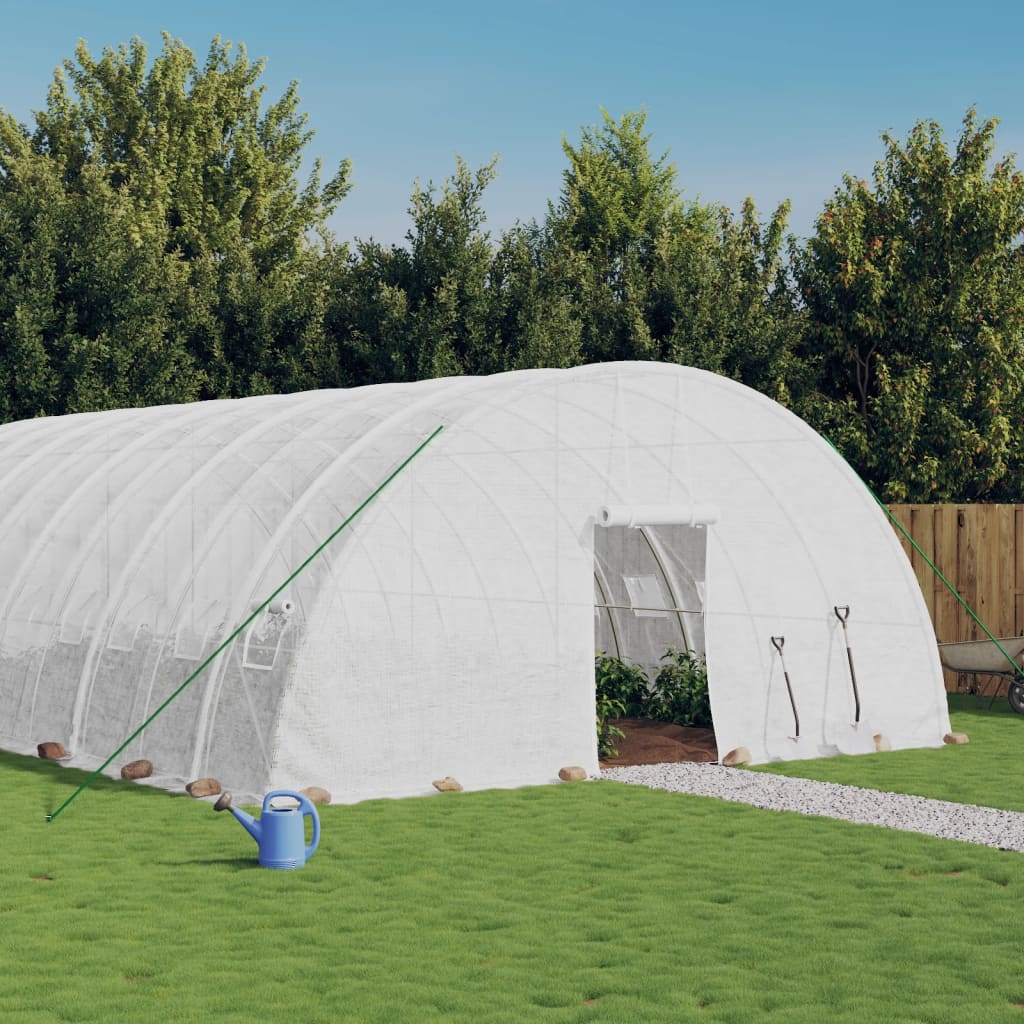 Seră Cu Cadru Din Oțel, , 24 M², 6X4X2,85 M