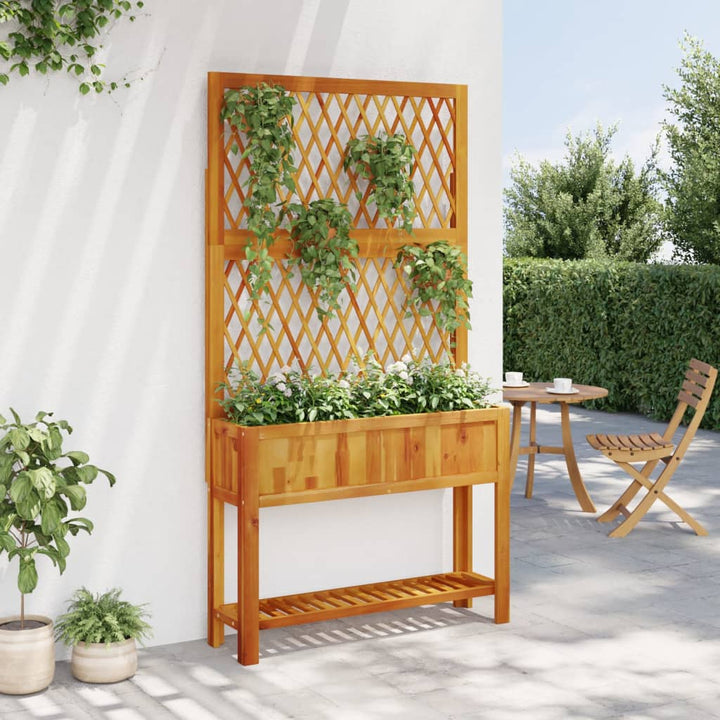 Jardinieră Cu Spalier/Poliță, , Lemn Masiv Acacia