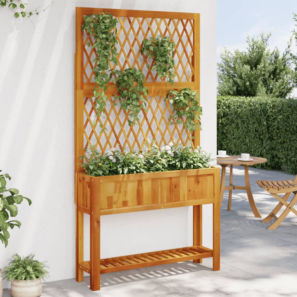 Jardinieră Cu Spalier/Poliță, , Lemn Masiv Acacia