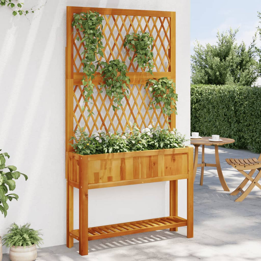 Jardinieră Cu Spalier/Poliță, , Lemn Masiv Acacia