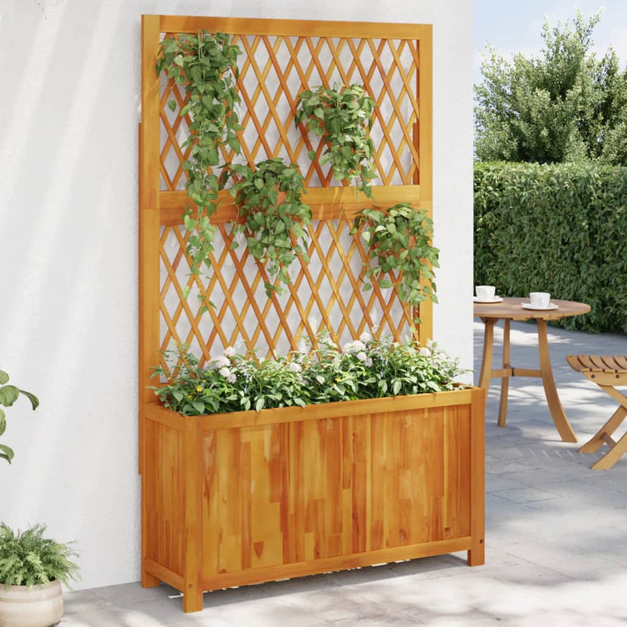 Jardinieră Cu Spalier, , Lemn Masiv Acacia
