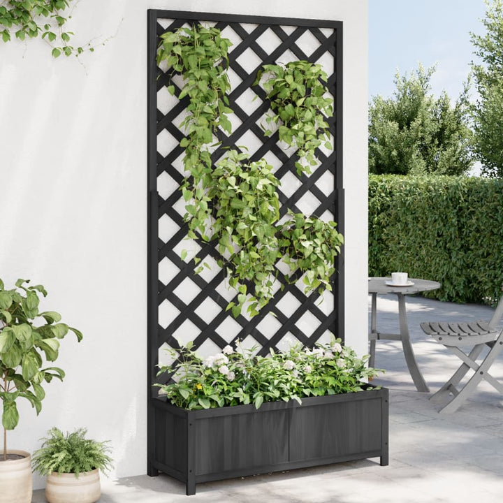 Jardinieră Cu Spalier, , Lemn Masiv De Brad