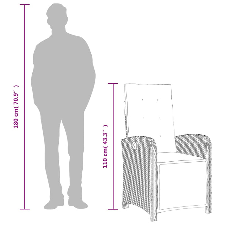 Set Mobilier Grădină Cu Perne, 9 Piese, Gri, Poliratan