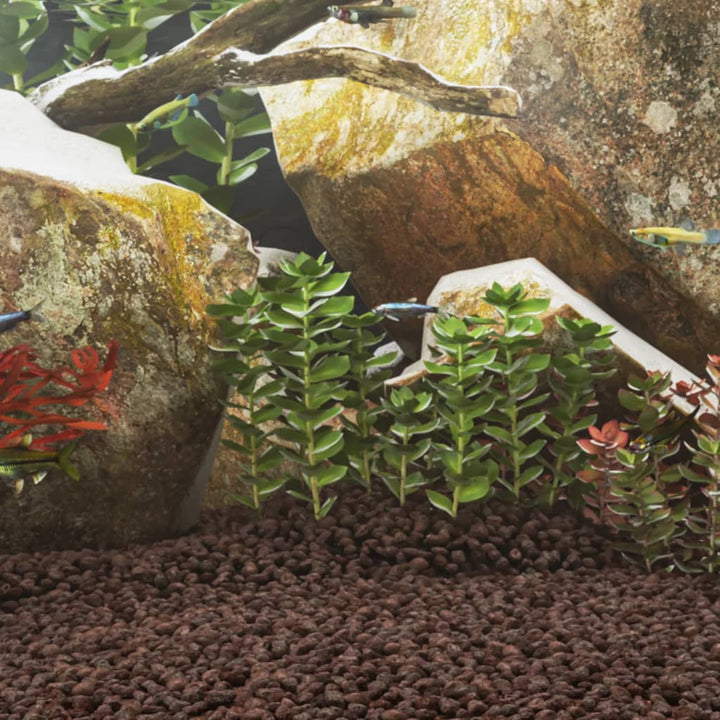 Roci Vulcanice, 10 Kg, , 10-30 Cm