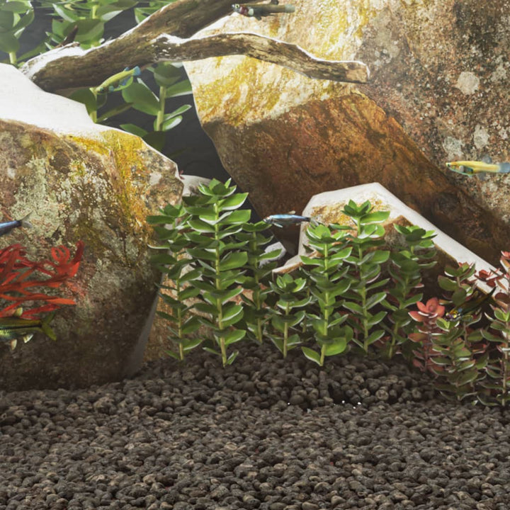 Roci Vulcanice, 10 Kg, , 10-30 Cm