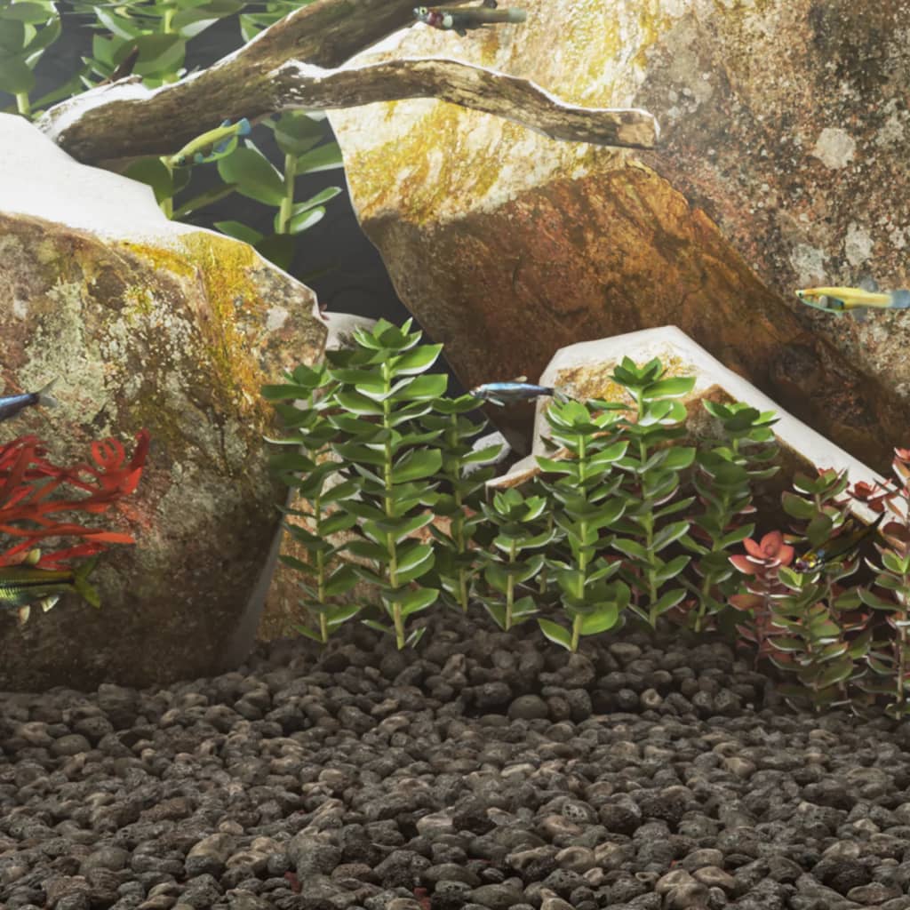 Roci Vulcanice, 10 Kg, , 10-30 Cm