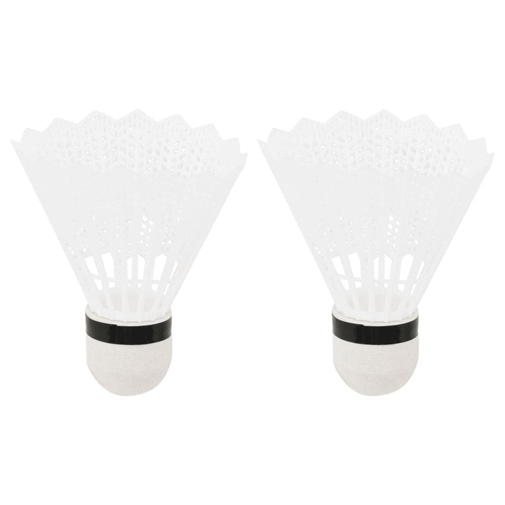 Set Badminton 2 Rachete/Plasă/Cutie De Depozitare 292X30X152 Cm