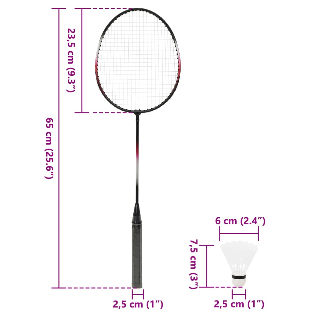 Set Badminton 2 Rachete/Plasă/Cutie De Depozitare 292X30X152 Cm