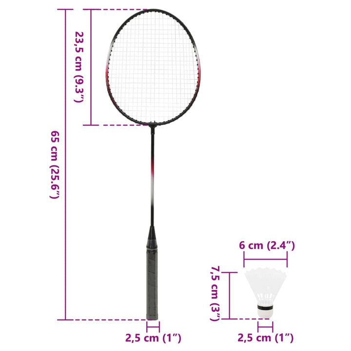 Set Badminton 2 Rachete/Plasă/Cutie De Depozitare 292X30X152 Cm