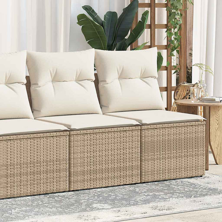 Set Mobilier De Grădină Cu Perne, 2 Piese Poliratan/Lemn Acacia