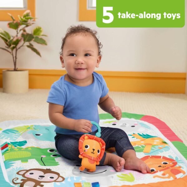 S71022438_4 S71022438_4