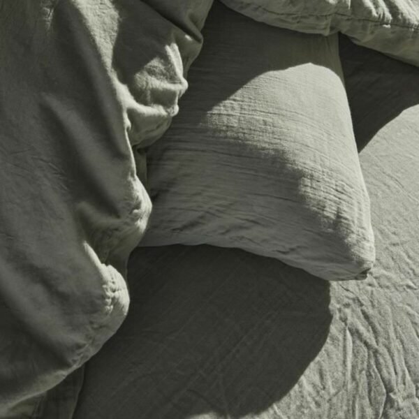 S71002816_1 S71002816_1