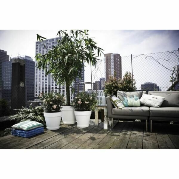 S7189558_2 S7189558_2