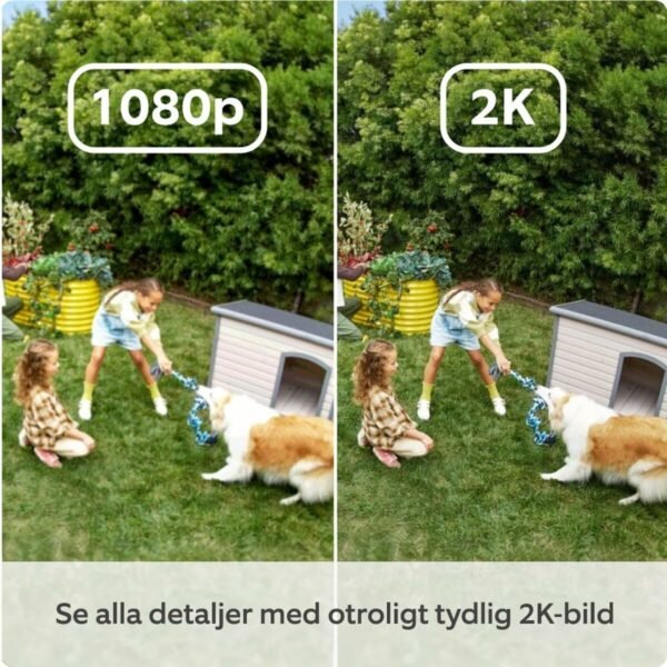 S55307689_3 S55307689_3