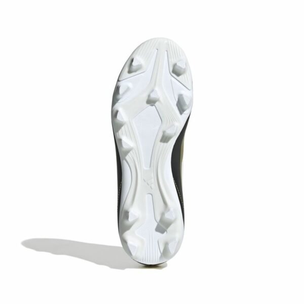 S64177307_2 S64177307_2