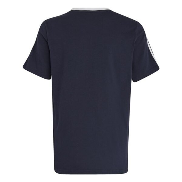 S64221892_1 S64221892_1