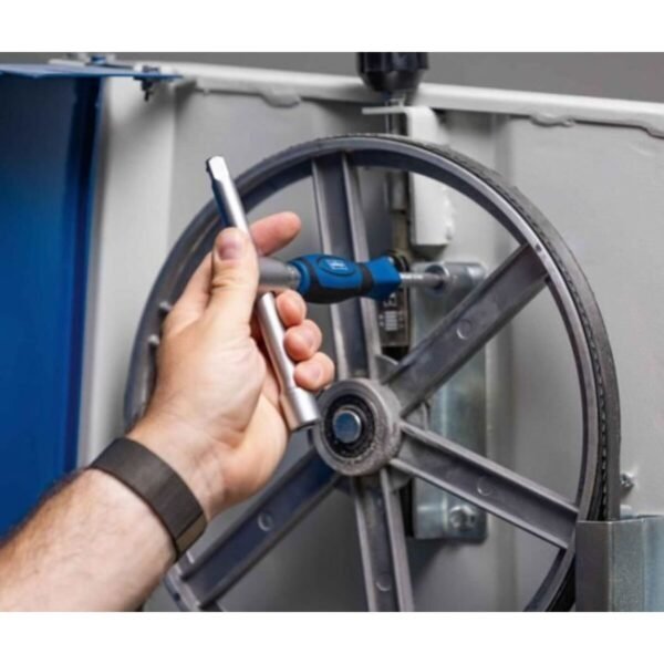 S7197146_2 S7197146_2