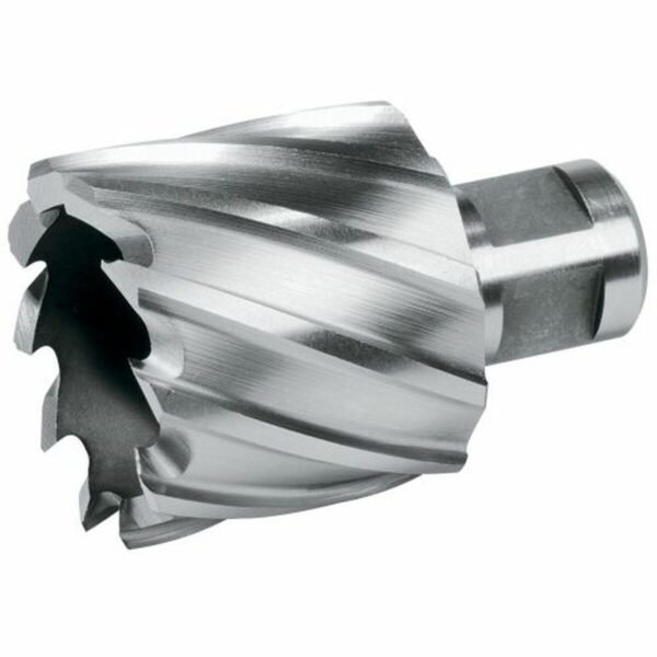 M1203377_0 M1203377_0