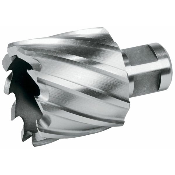 M1203377_1 M1203377_1