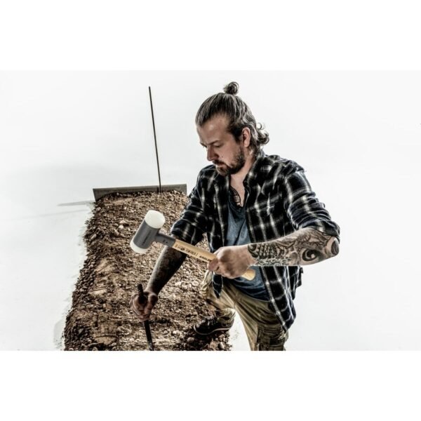 M1200956_12 M1200956_12