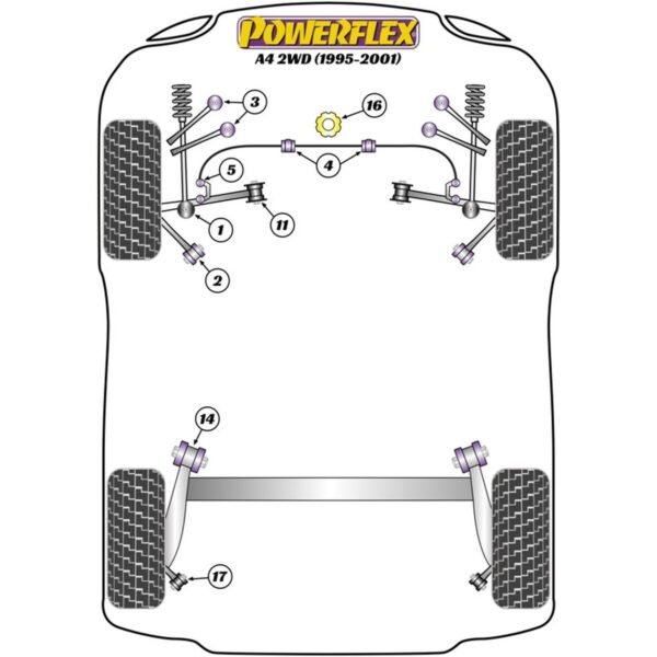 S3779142_1 S3779142_1