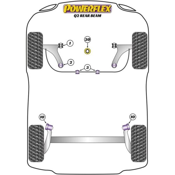 S3779428_1 S3779428_1