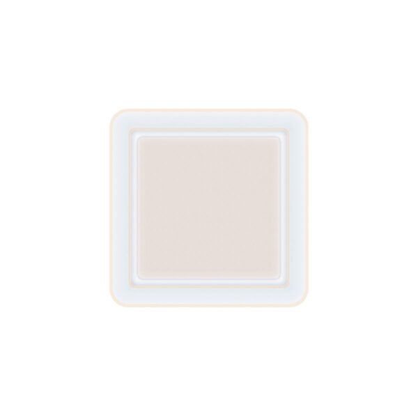 S1906896_5 S1906896_5