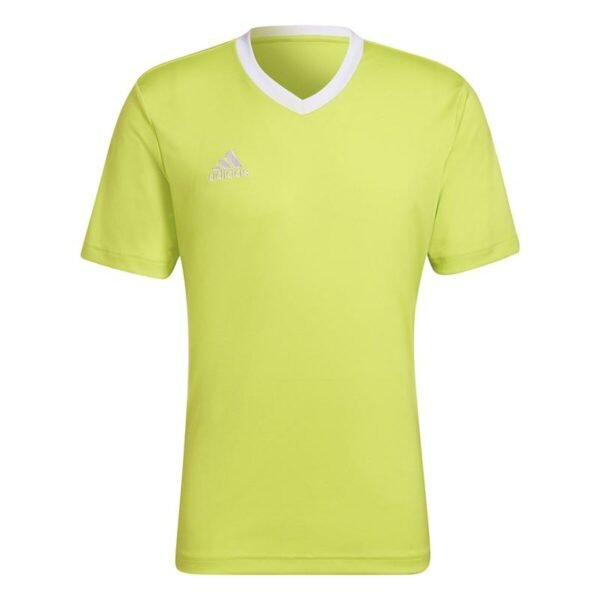 S64197667_0 S64197667_0