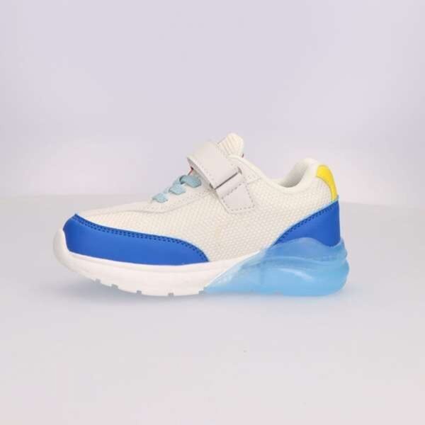 S2464110_1 S2464110_1